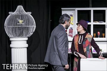 نمایش اطلسی های لگدمال شده 8