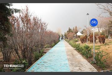به وقت خدمت؛ مسیر زندگی 30
