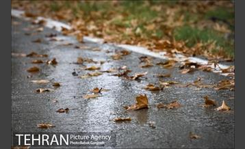 بوستان سرخه حصار 27