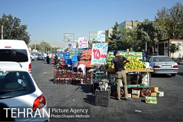 میوه فروشان خیابانی 1