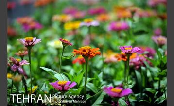 بوستان الغدیر 21