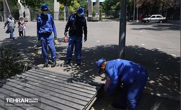 مبارزه با جانوران موذی 3