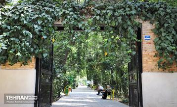 تهران زیبای من؛ منطقه 7