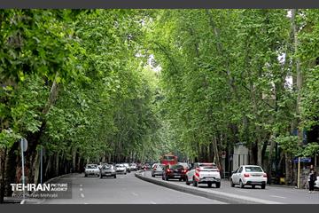 هوای بهاری تهران 22
