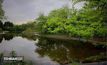 باغ گیاه‌شناسی 20