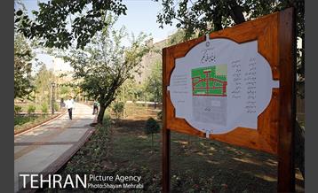 آیین افتتاح و بهره برداری از باغ ایرانی حکیم 32