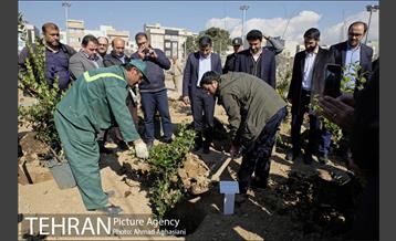 روز درختکاری در بوستان تبسم 3