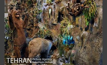 موزه حیات وحش هفت چنار 42