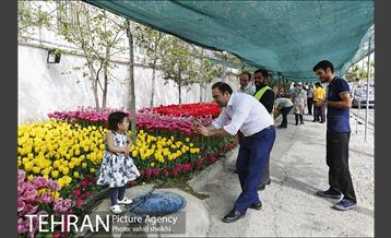پیاده راه لاله برای مادران 17