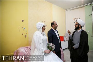 جشن ازدواج دو کارتن خواب بهبود یافته 18