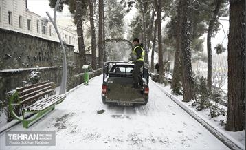 روز برفی تهران 19