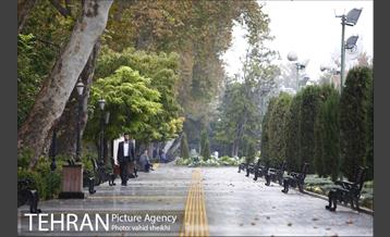 بارش نخستین باران پاییزی در تهران 4