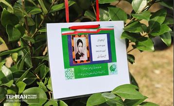 غرس ۱۱۰۰ نهال در منطقه ۱۱ 33