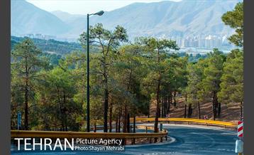 بوستان جنگلی چیتگر 19