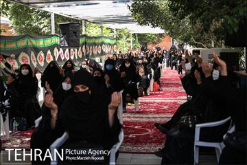 زیر آسمان روضه 5