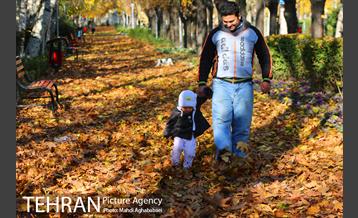 پاییز بوستان تمدن 3