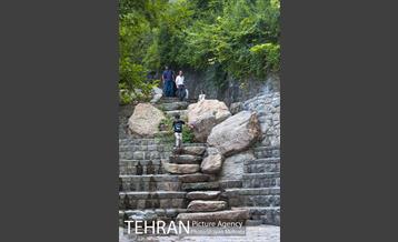 بوستان جمشیدیه 28