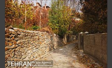 پاییز طلایی روستای افجه 14