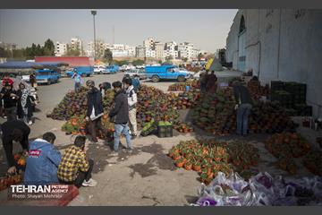 بازار میوه و تره بار مرکزی تهران در آستانه نوروز 5