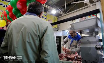 بازدید مدیرعامل سازمان تره‌وبار از میادین میوه 25