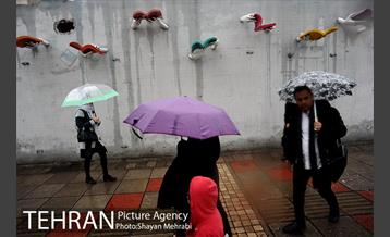 بارش باران بهاری در تهران  13
