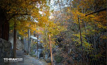 سمفونی رنگ های پاییزی - دربند 13