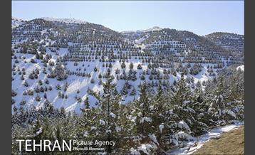 طبیعت برفی تلو 11