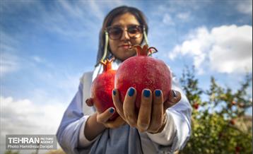 یـاقوت سرخ  30