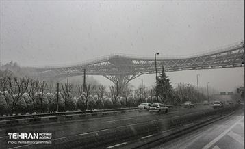 پل طبیعت سپیدپوش شد 9