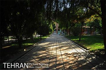 بوستان هنرمندان (ایرانشهر) 10