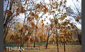 پاییز در پارک شهر 10