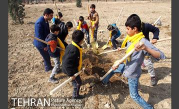 کاشت نهال در بوستان ولایت  31