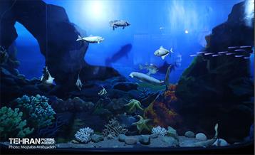 بازدید شهردار تهران از مجموعه پارک پردیسان 22