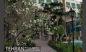 حال و هوای بهاری در خانه موزه مقدم  15