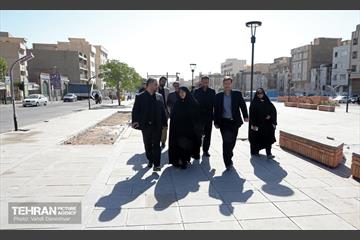 بازدید عضو کمیسیون اجتماعی و فرهنگی شورا از منطقه 17 14