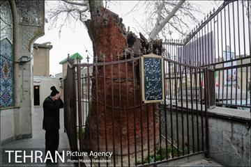 محله امامزاده یحیی  5