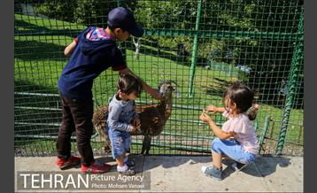 بوستان ملت 15