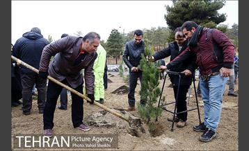 آغاز عملیات اجرایی نهضت درختکاری پردیس گردشگری 13