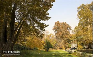 سمفونی رنگ های پاییزی - کاخ سعدآباد 9