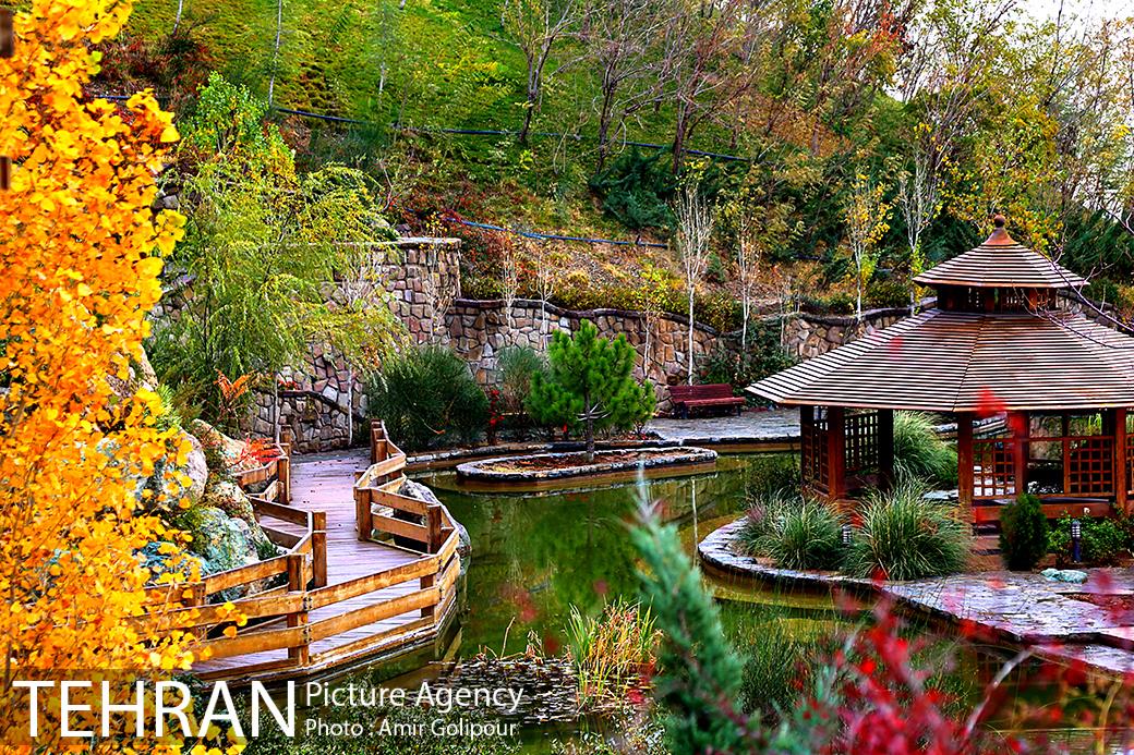 پاییز رنگ به رنگ در بوستان کوهستانی آبشار تهران‎ 5