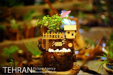 هشتمین نمایشگاه گل و گیاه تهران 21