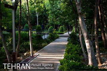بوستان باغ ایرانی 16