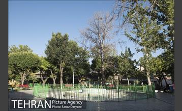 بوستان شقایق 4