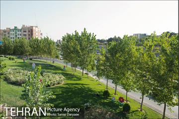 خیابان دماوند 41