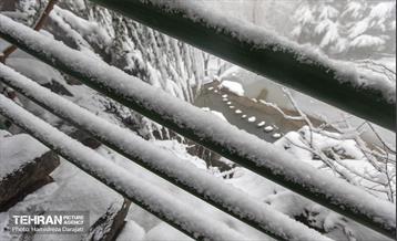 روایت مه‌و‌برف در بوستان سنگی تهران  25