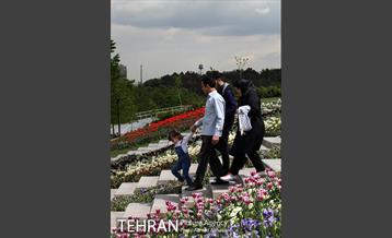 پل جدید بوستان آب و آتش 28