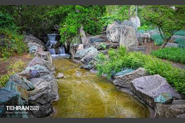 باغ گیاه‌شناسی 43