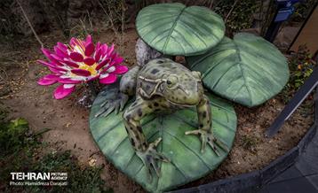 اقیانوس پارک  30