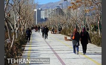 بوستان پلیس 42