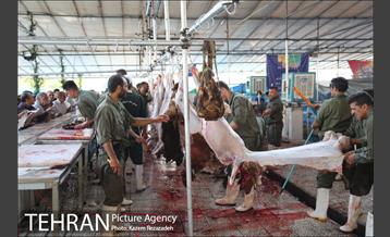 عرضه دام زنده در منطقه 19 شهرداری تهران 9